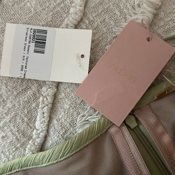 NWT ALEXIS ROMANI SAGE DRESS LARGE SOLD OUT - Picture 6 of 7